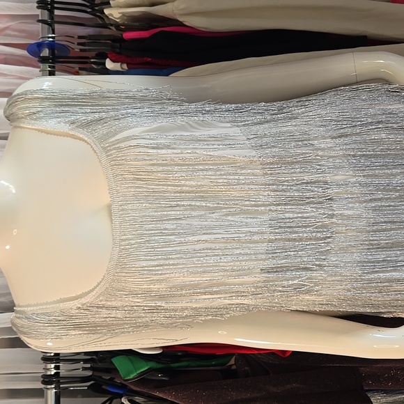 Silver Fringe Dress - Picture 3 of 6